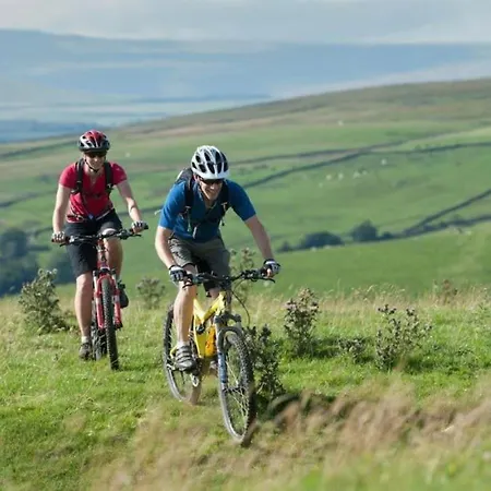 Stunning House By Yorksha